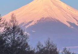 2025年　社員旅行